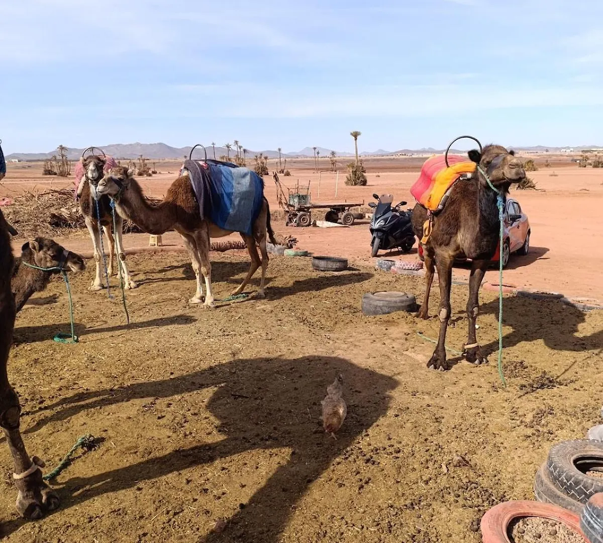 Marrakech Welcome Marrakesh 0*,  Morocco